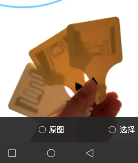 High Quality Plastic Ear Tag Cattle Tags for Animals Tracking
